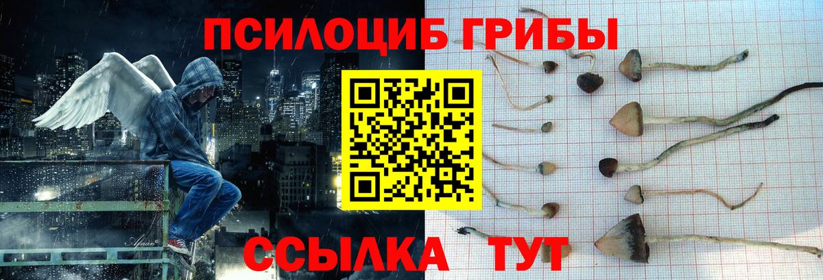 Галлюциногенные грибы прущие грибы  Вход с VPN  Красноуфимск 