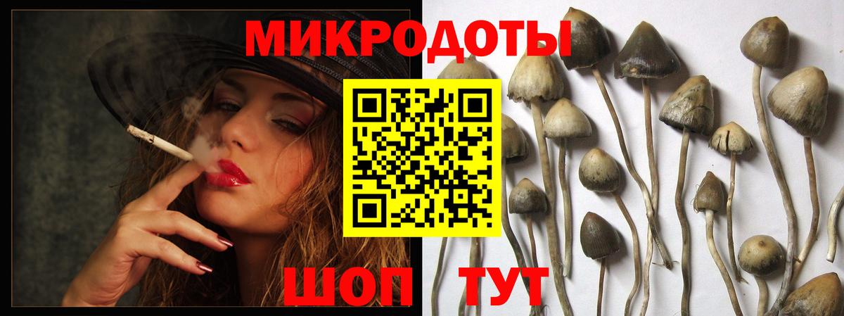 Псилоцибиновые грибы прущие грибы Красноуфимск